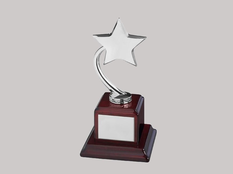 Silver Star on wood square base 