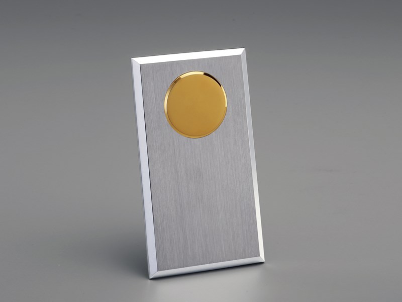 Rectangular Plaque with gold coin