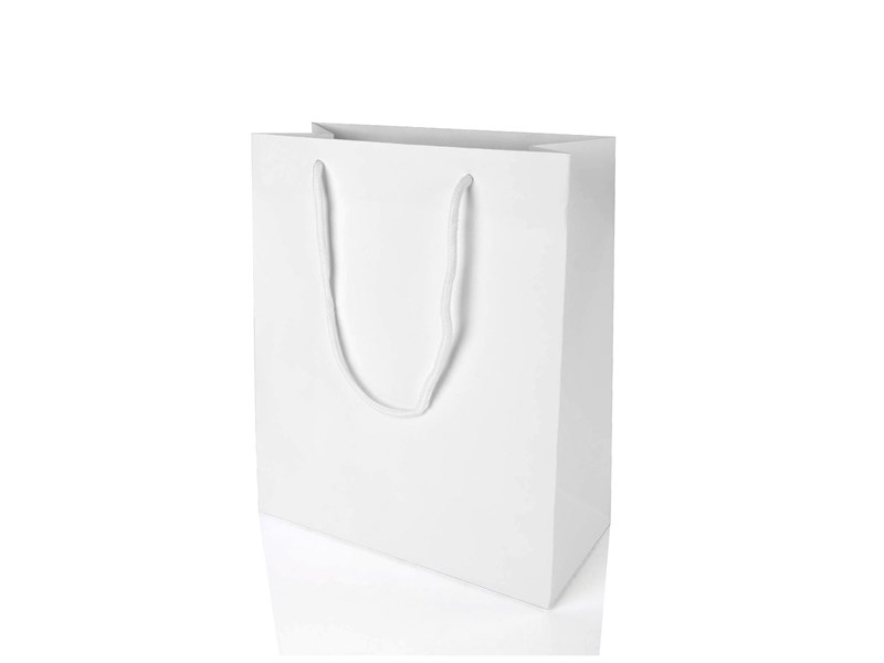 Paper Bag