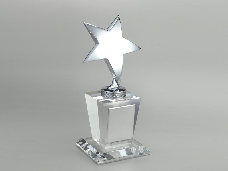 Trophy with silver star