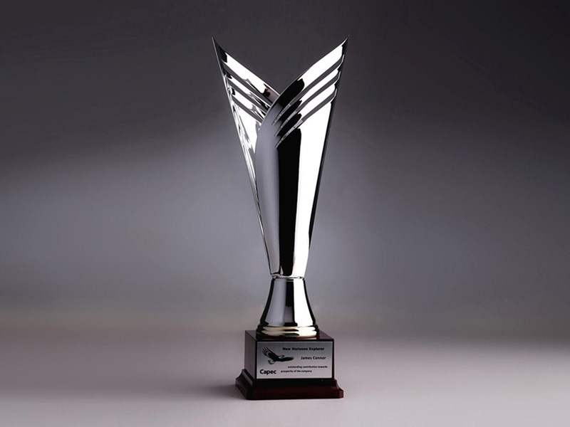 Metal Trophy