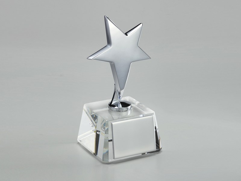 Trophy with silver star