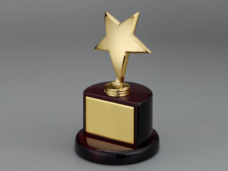 Gold star on semi circular wood base